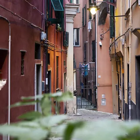 Il Cioccolatino Del Carmine * Genova